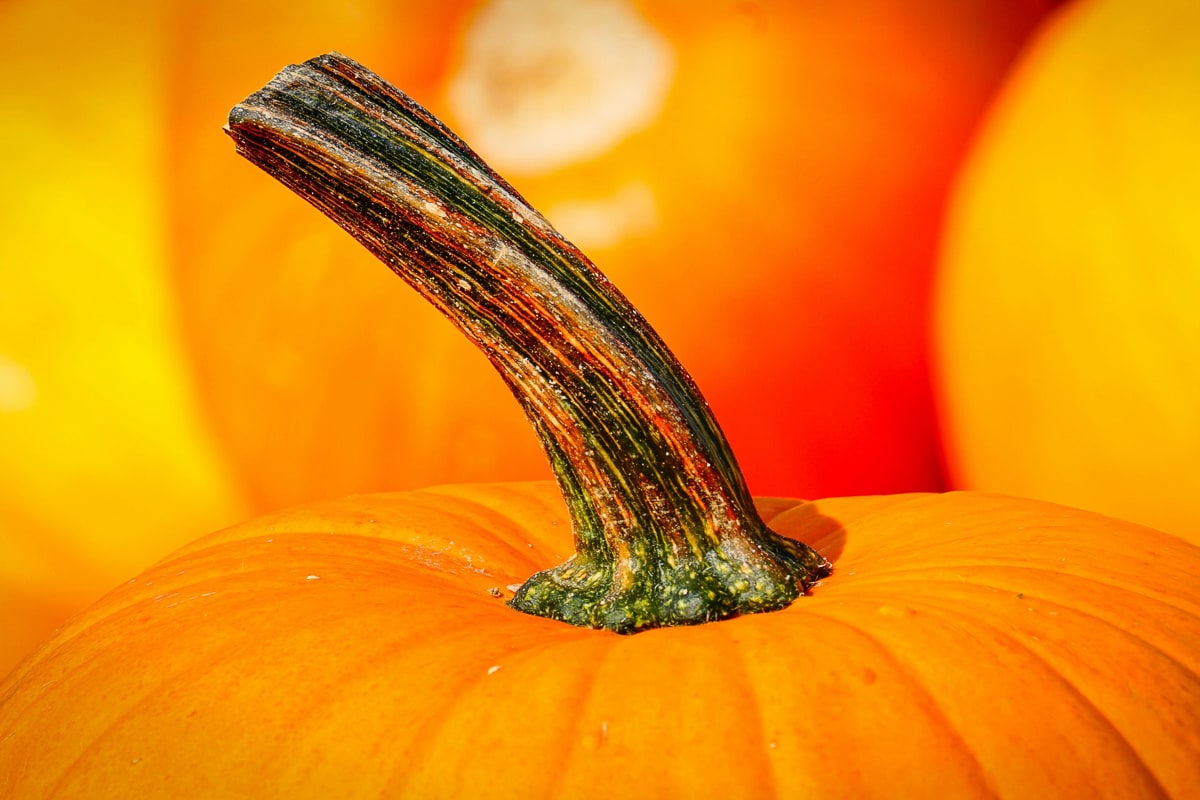 october sober ideas substance use disorder recovery treatment support southern california