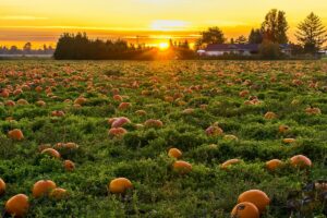 sober halloween substance use disorder recovery treatment support southern california